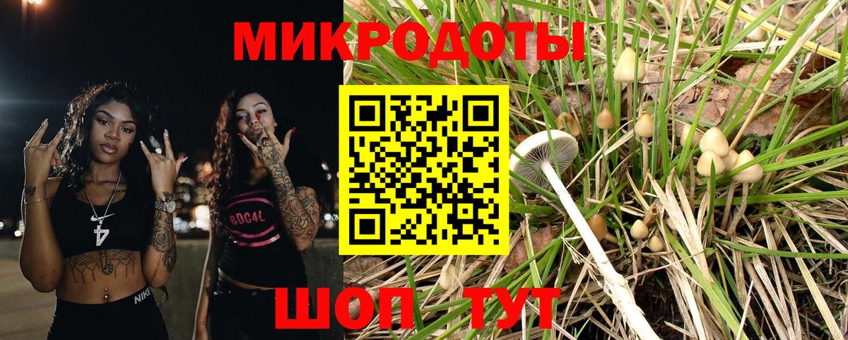 Псилоцибиновые грибы Psilocybine cubensis  Псилоцибиновые грибы мицелий  Вход с VPN  Сертолово 