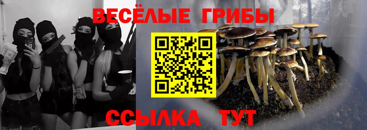 Галлюциногенные грибы MAGIC MUSHROOMS Сертолово